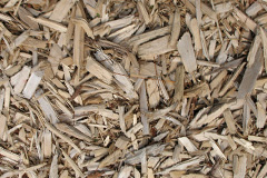 biomass boilers Monzie
